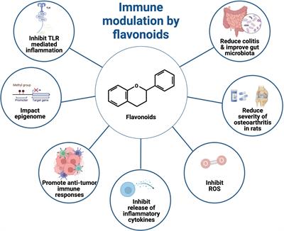 Editorial: Immune Modulation by Flavonoids